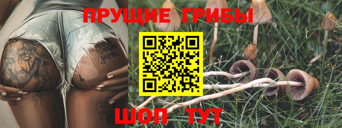 Галлюциногенные грибы Psilocybine cubensis  Вход с VPN  Псилоцибиновые грибы Magic Shrooms  Тайшет 